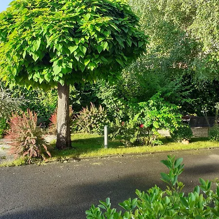 Nocleg ze śniadaniem Oazis Panzio 4*