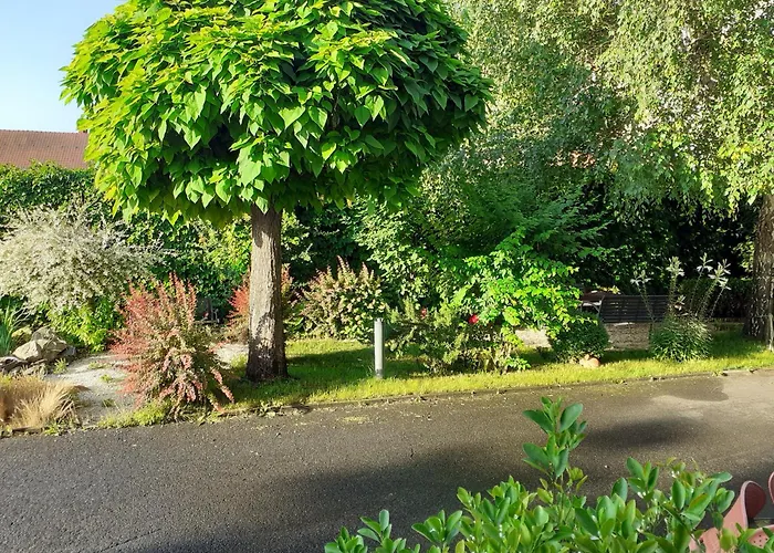 Bed & Breakfast Oazis Panzio 4*